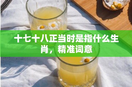 十七十八正当时是指什么生肖，精准词意
