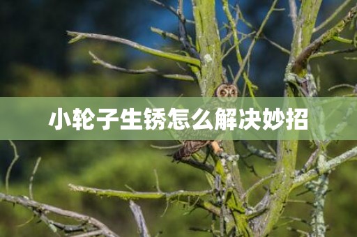 小轮子生锈怎么解决妙招