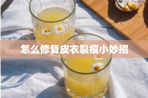 怎么修复皮衣裂痕小妙招