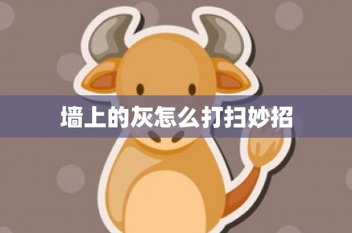 墙上的灰怎么打扫妙招