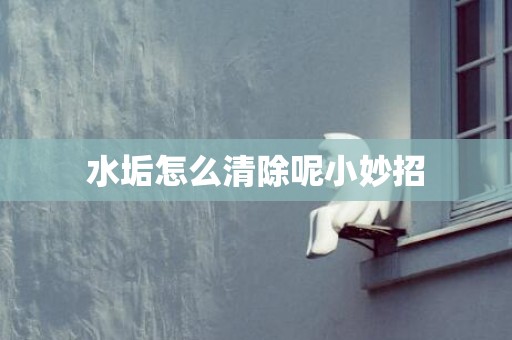 水垢怎么清除呢小妙招