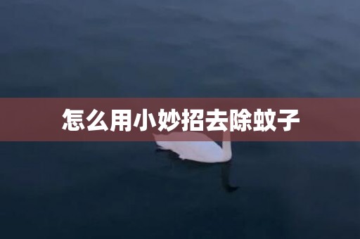 怎么用小妙招去除蚊子