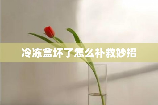 冷冻盒坏了怎么补救妙招