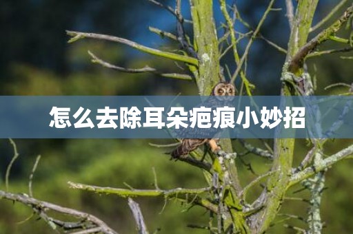怎么去除耳朵疤痕小妙招