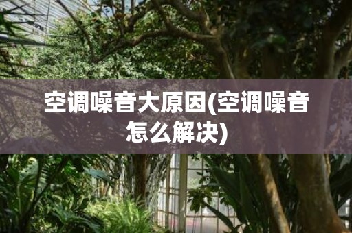 空调噪音大原因(空调噪音怎么解决)