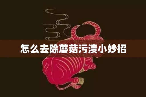 怎么去除蘑菇污渍小妙招