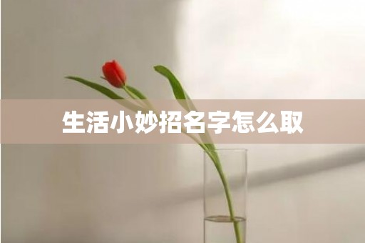 生活小妙招名字怎么取