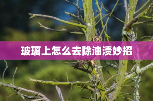 玻璃上怎么去除油渍妙招