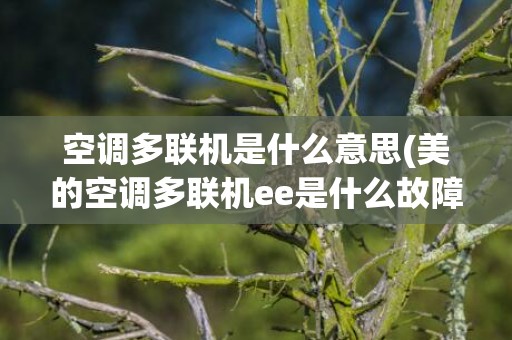 空调多联机是什么意思(美的空调多联机ee是什么故障)