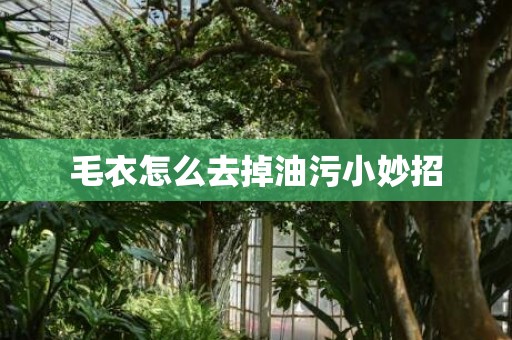 毛衣怎么去掉油污小妙招