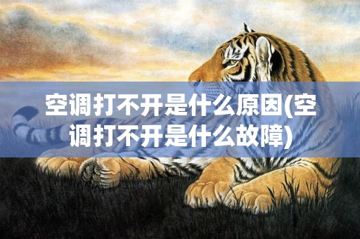 空调打不开是什么原因(空调打不开是什么故障)