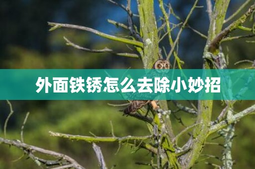 外面铁锈怎么去除小妙招
