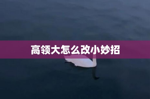 高领大怎么改小妙招