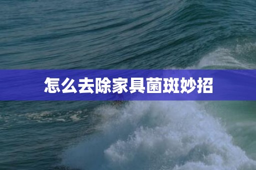 怎么去除家具菌斑妙招
