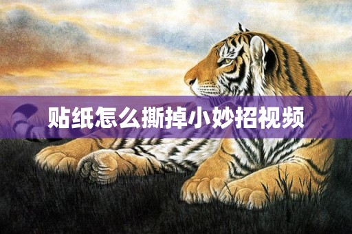 贴纸怎么撕掉小妙招视频