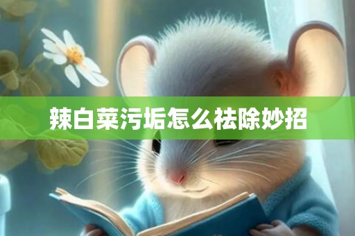 辣白菜污垢怎么祛除妙招