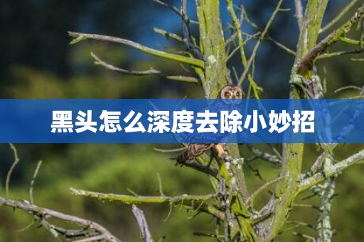 黑头怎么深度去除小妙招