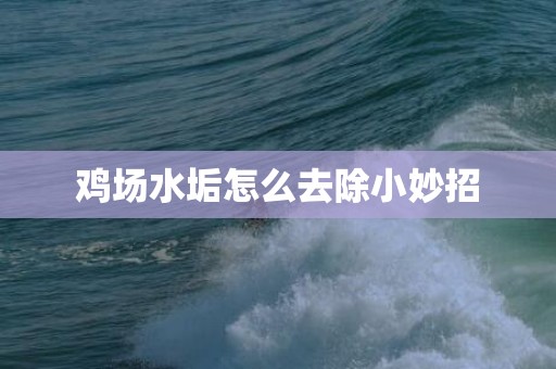 鸡场水垢怎么去除小妙招