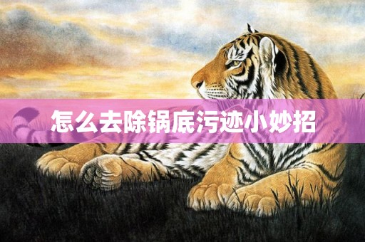 怎么去除锅底污迹小妙招