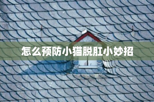 怎么预防小猫脱肛小妙招