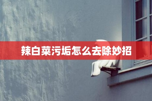 辣白菜污垢怎么去除妙招