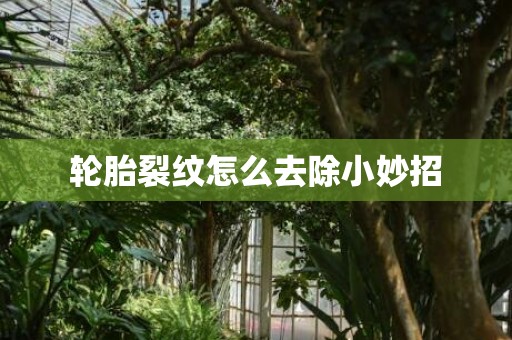 轮胎裂纹怎么去除小妙招