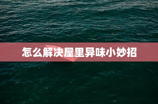 怎么解决屋里异味小妙招