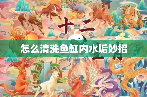 怎么清洗鱼缸内水垢妙招