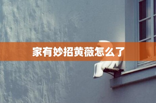 家有妙招黄薇怎么了