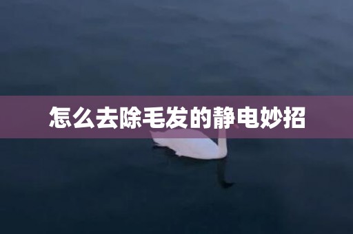 怎么去除毛发的静电妙招