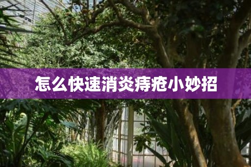 怎么快速消炎痔疮小妙招