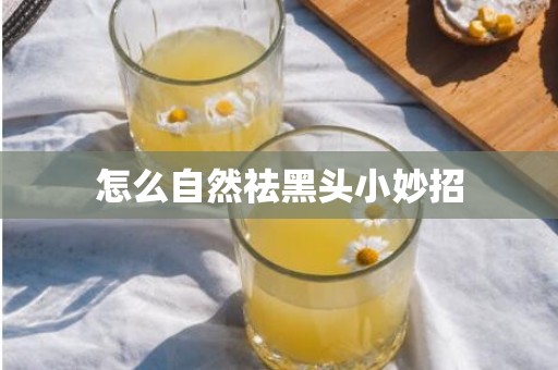 怎么自然祛黑头小妙招