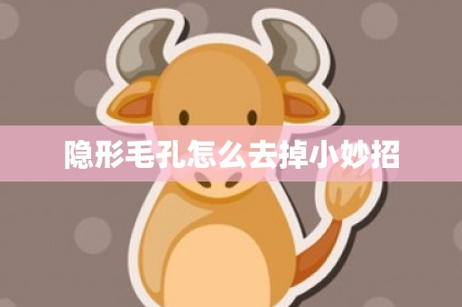 隐形毛孔怎么去掉小妙招