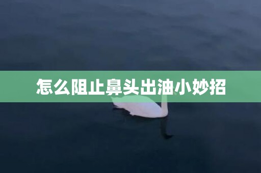 怎么阻止鼻头出油小妙招