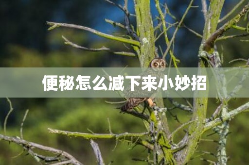 便秘怎么减下来小妙招