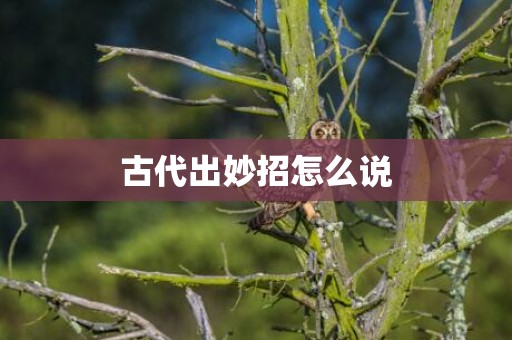 古代出妙招怎么说