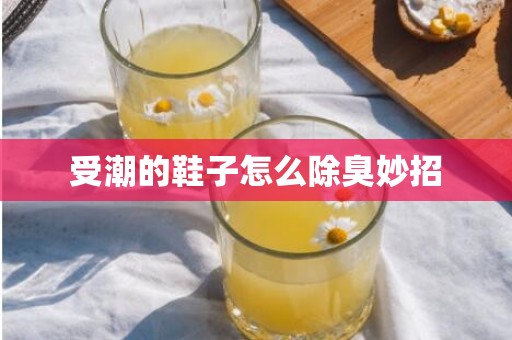 受潮的鞋子怎么除臭妙招
