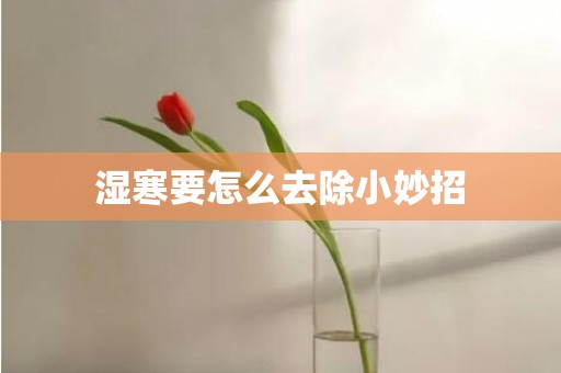 湿寒要怎么去除小妙招