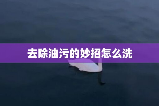 去除油污的妙招怎么洗