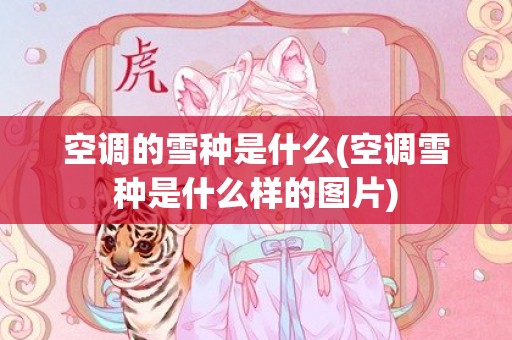 空调的雪种是什么(空调雪种是什么样的图片)