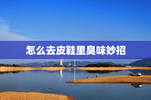 怎么去皮鞋里臭味妙招