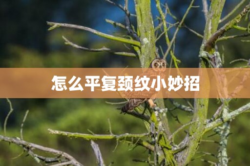 怎么平复颈纹小妙招