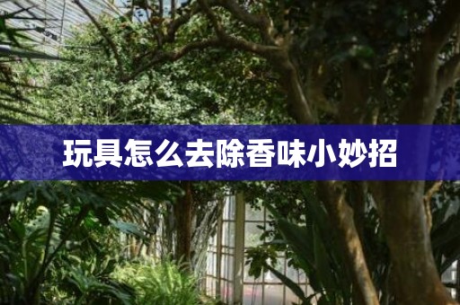 玩具怎么去除香味小妙招
