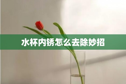 水杯内锈怎么去除妙招