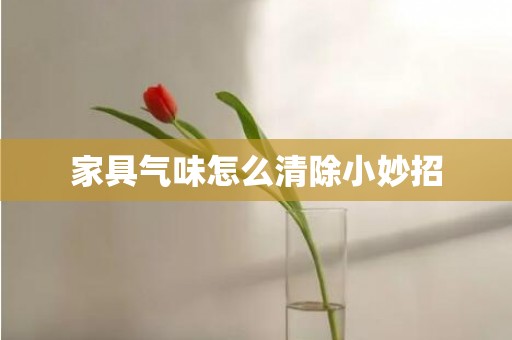 家具气味怎么清除小妙招