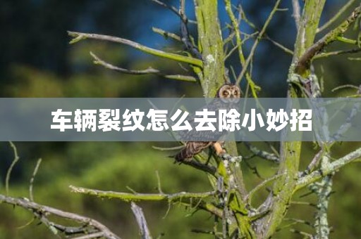 车辆裂纹怎么去除小妙招