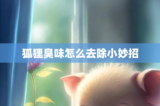 狐狸臭味怎么去除小妙招