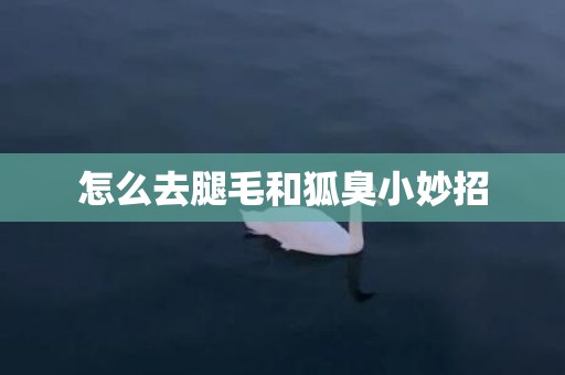 怎么去腿毛和狐臭小妙招