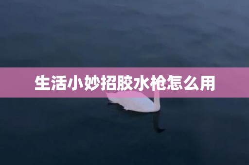 生活小妙招胶水枪怎么用