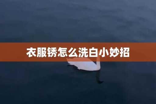 衣服锈怎么洗白小妙招